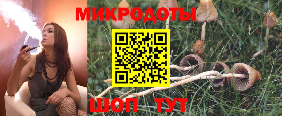 Галлюциногенные грибы ЛСД  Псилоцибиновые грибы прущие грибы  Вход с VPN  Асино 