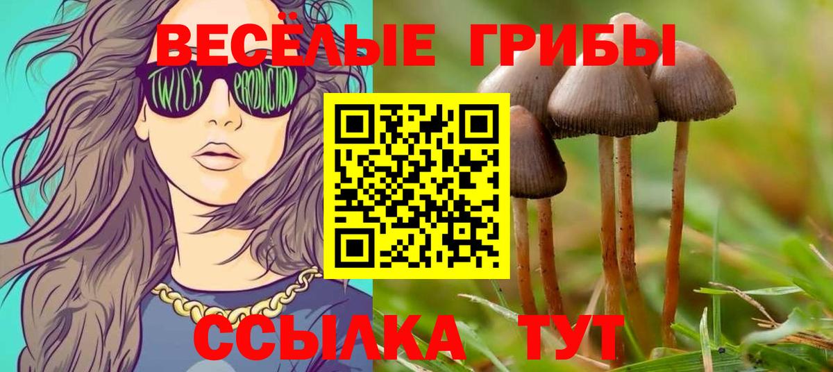 Псилоцибиновые грибы прущие грибы Асино