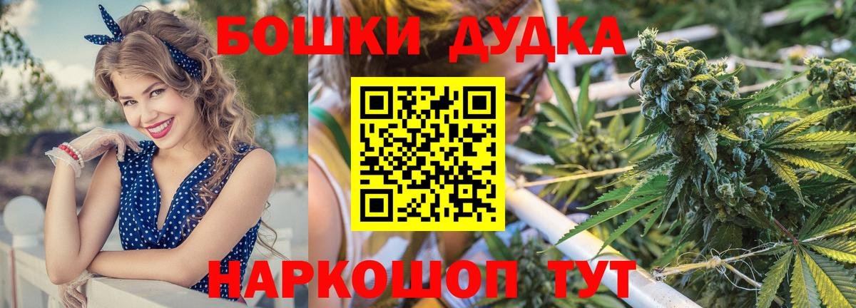 Конопля индика  Шишки марихуана планчик  Конопля план  Асино  Вход с VPN  Каннабис индика 